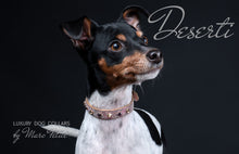 Charger l'image dans la galerie, Luxury Dog Collar