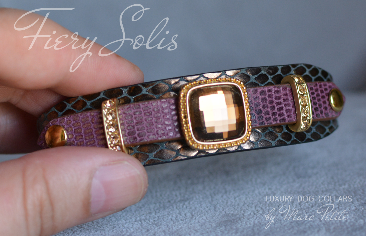 Royal Dog Collar