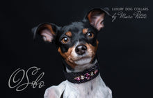 Charger l'image dans la galerie, Royal Dog Collar