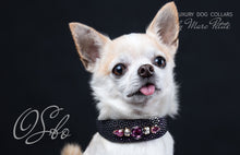 Charger l'image dans la galerie, Luxury Dog Collar
