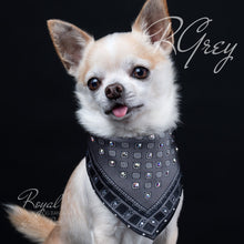 Load image into Gallery viewer, Swarovski dog bandana