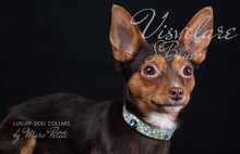 Charger l'image dans la galerie, Boutique Dog Collar