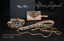 Load image into Gallery viewer, Leopard dog collar & Leash