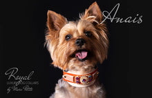 Charger l'image dans la galerie, Luxury Dog Collar for Yorkies