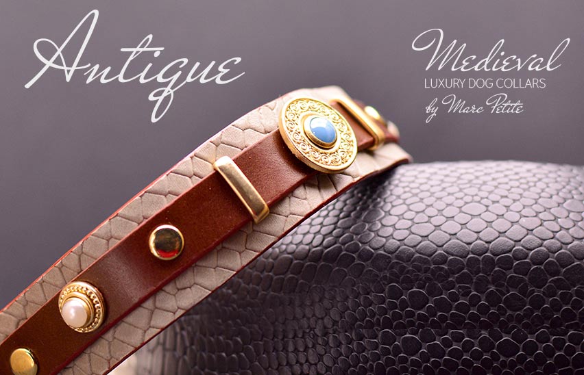 Unique dog collars cheap