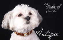 Load image into Gallery viewer, Maltese collars