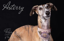 Charger l'image dans la galerie, Greyhound Collar