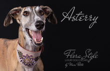Charger l'image dans la galerie, Diamond dog collar
