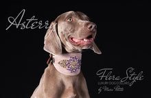 Charger l'image dans la galerie, Designer Dog Collar