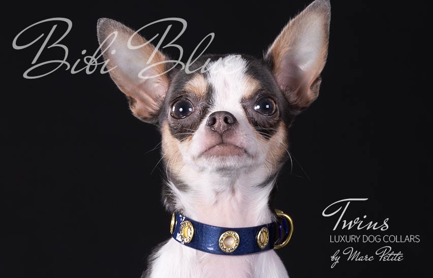 Petic dog collar sales instructions