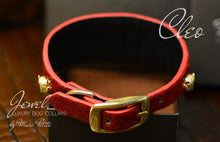 Load image into Gallery viewer, Cleo Collar + Leash