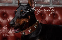 Charger l'image dans la galerie, Leather Dog Collar with spikes for strong dogs like Doberman