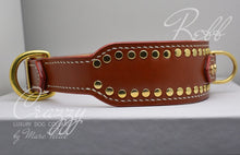 画像をギャラリービューアに読み込む, high quality dog collar