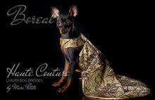 Load image into Gallery viewer, Desginer Dog Dress