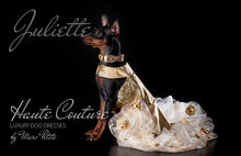 Load image into Gallery viewer, Desginer Dog Dress
