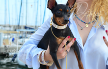Charger l'image dans la galerie, Dog Collar and Matching leash