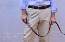 Load image into Gallery viewer, Luxury dog leash