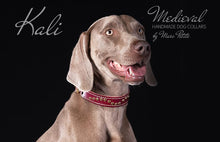 Load image into Gallery viewer, Weimaraner Dog Collar