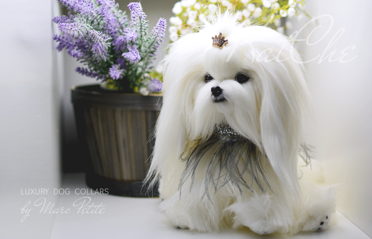 KatChe Haute Couture Dog Collar with feathers by Marc Petite