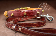Charger l'image dans la galerie, High end croco leather dog collar with spikes & thorns