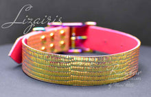 Load image into Gallery viewer, Fashion dog collar