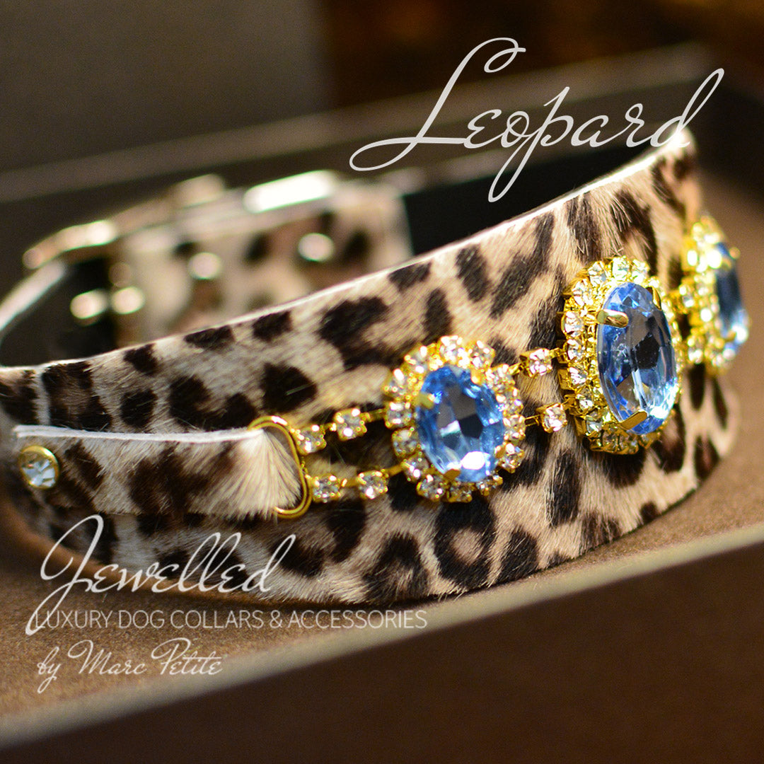 Leopard - Exotic Leather Dog Collar – Marc Petite