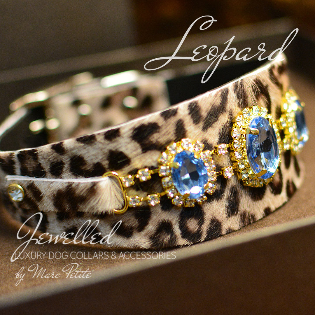 Leopard Exotic Leather Dog Collar – Marc Petite