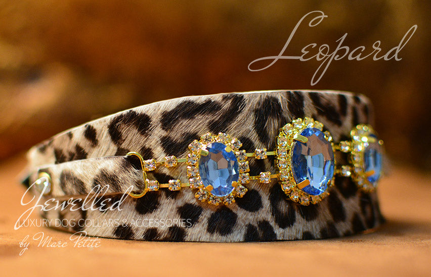 Leather leopard print dog collar online
