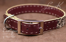 Load image into Gallery viewer, Exclusive Dog Collar