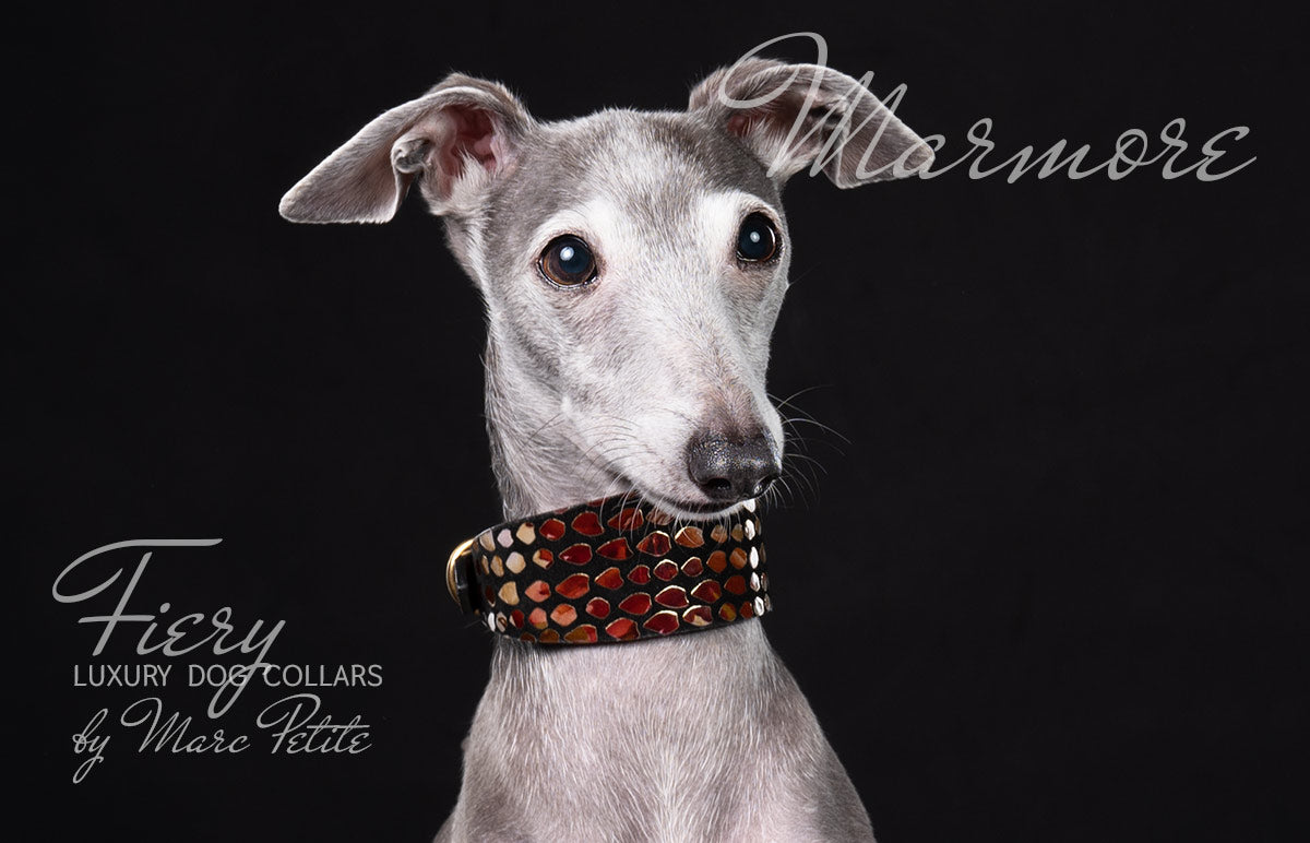 Designer Dog - Luxury Dog Collars