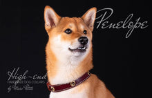 Charger l'image dans la galerie, Husky dog collar
