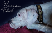 Load image into Gallery viewer, Royal Dog Collar