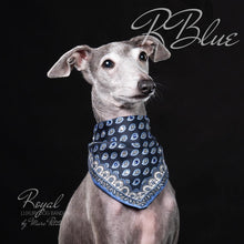 Load image into Gallery viewer, Swarovski Dog Bandana