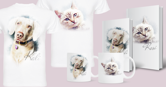 Best Gifts for Dog & Cat Lovers 