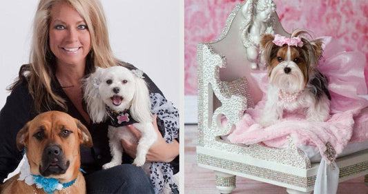 Yvette Ruta: Luxury Pet Fashion