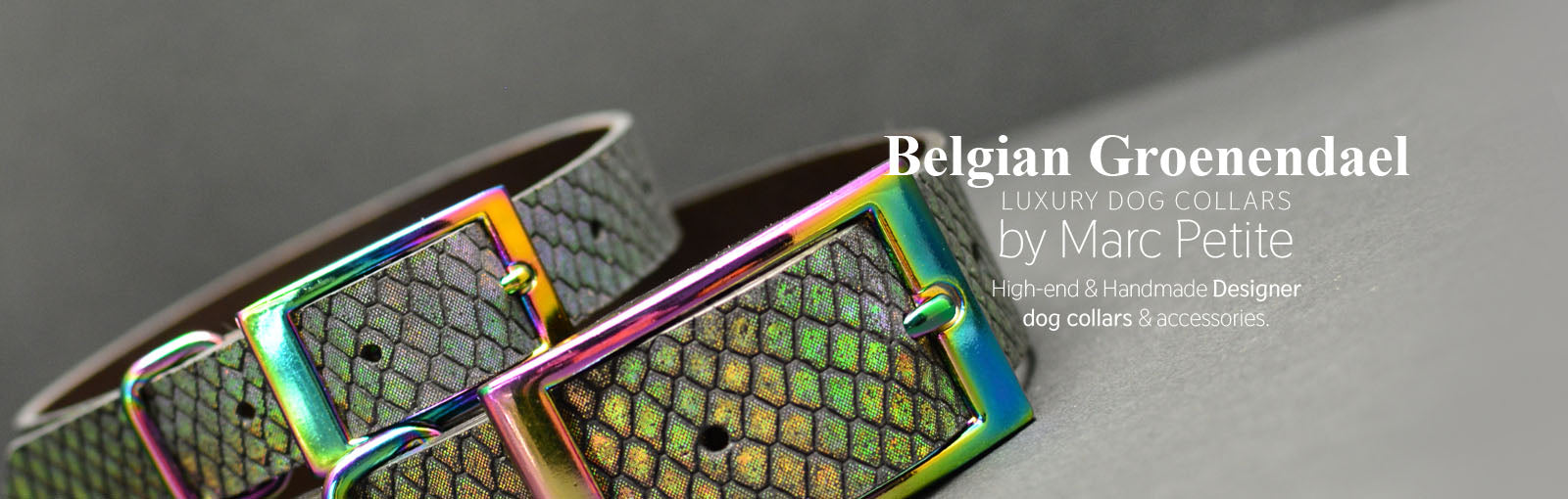 Belgian Groenendael Collars - Marc Petite