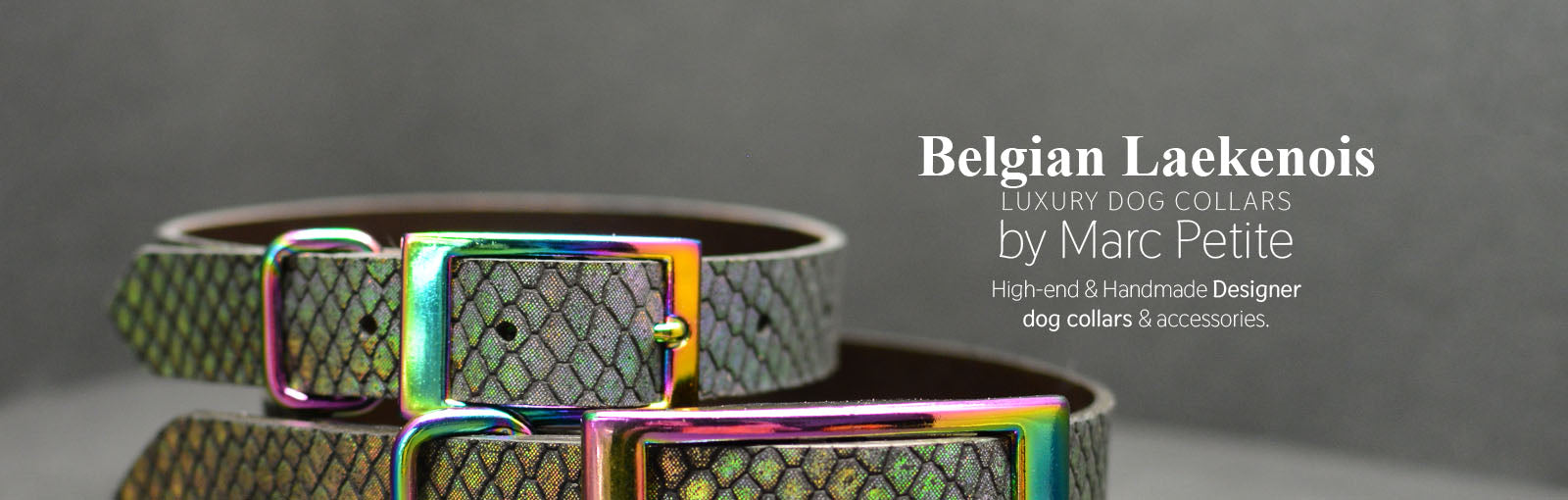 Belgian Laekenois Collars - Marc Petite