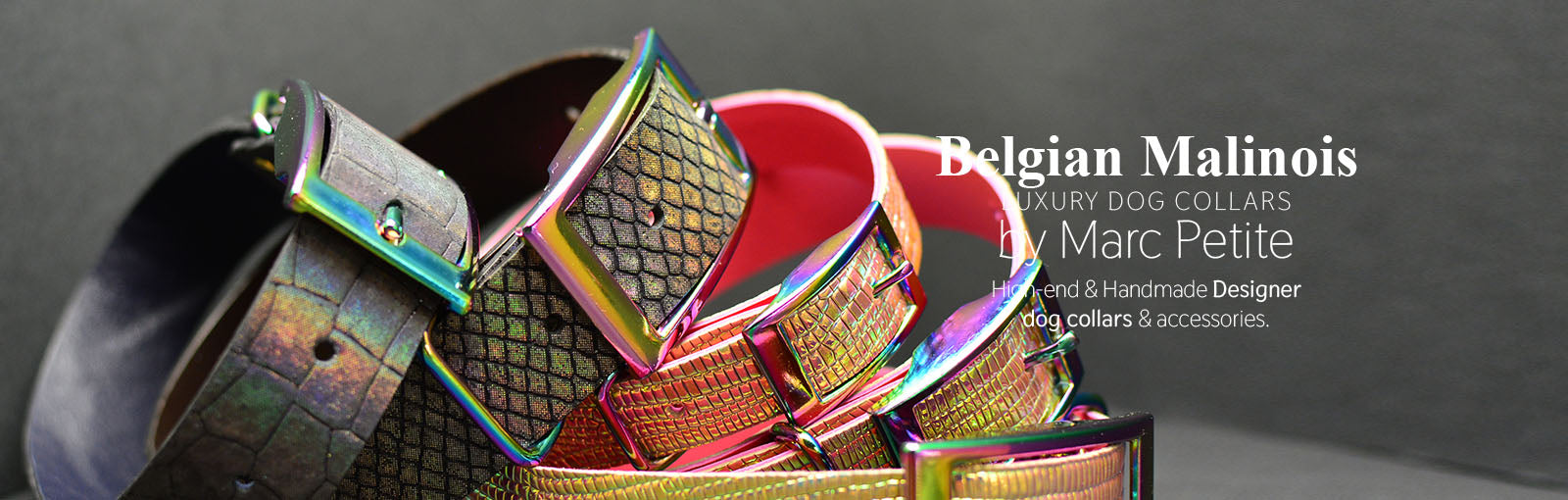Belgian Malinois Collars - Marc Petite