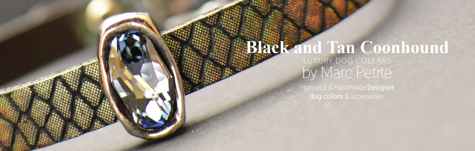 Black and Tan Coonhound Collars - Marc Petite
