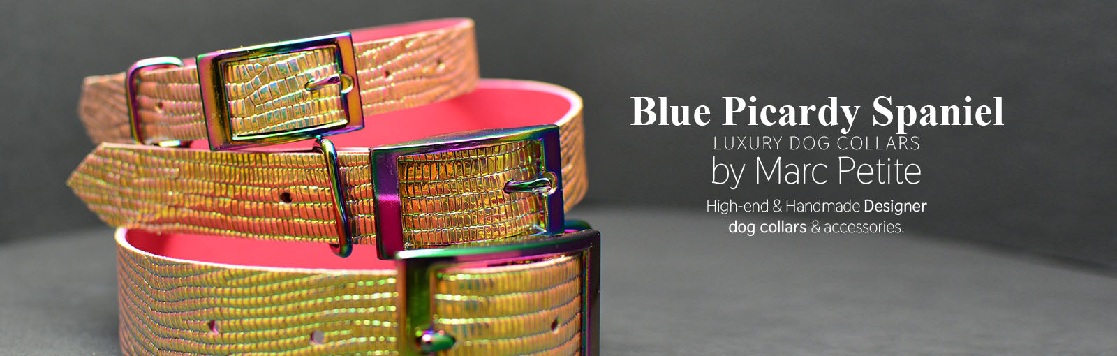 Blue Picardy Spaniel Collars - Marc Petite