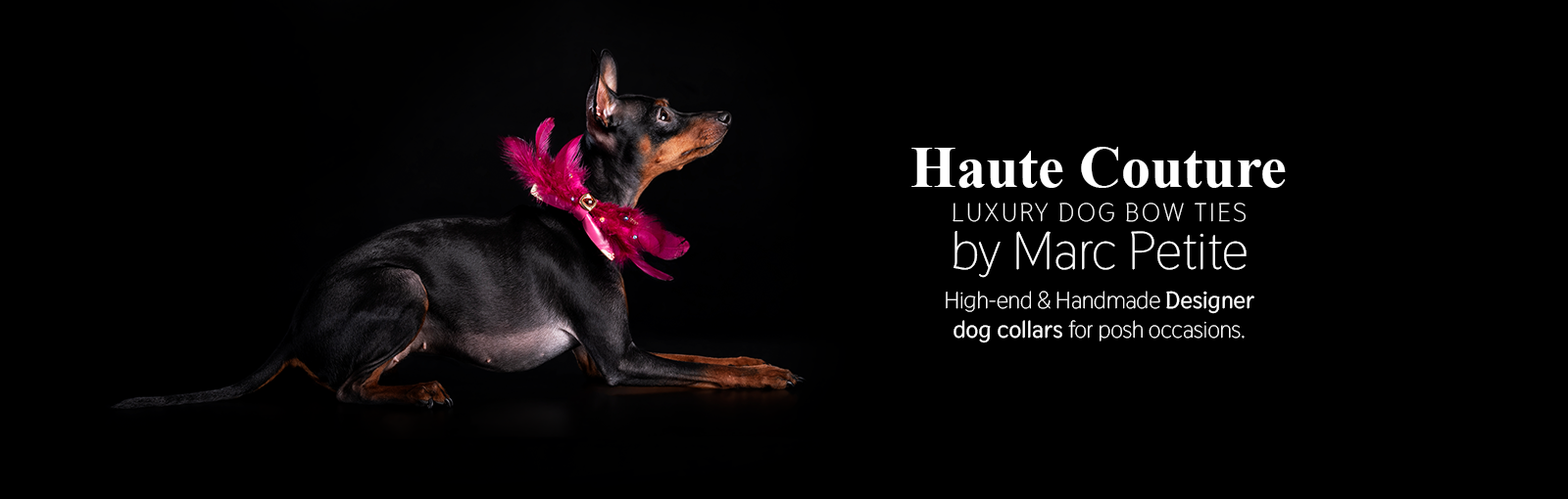 Luxury Puppy Bow Ties