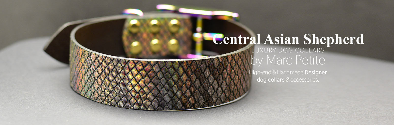 Central Asian Shepherd Collars - Marc Petite