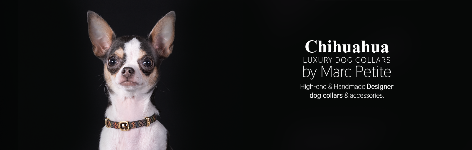 Chihuahua Collars - Collars by Marc Petite