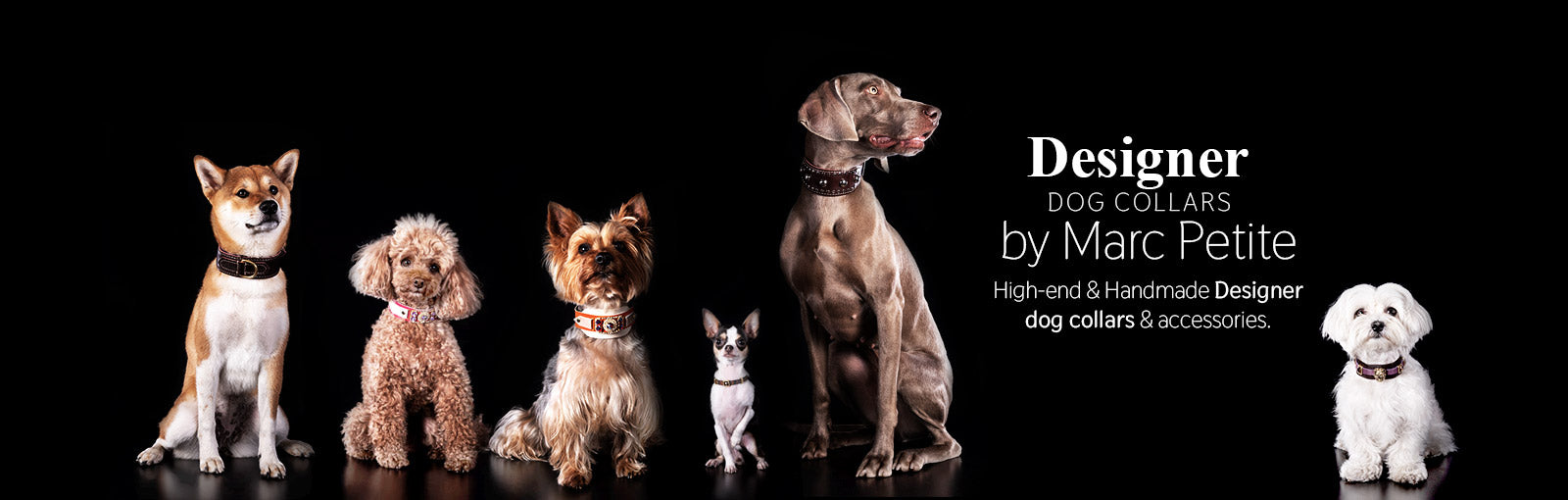 Designer Dog Collars