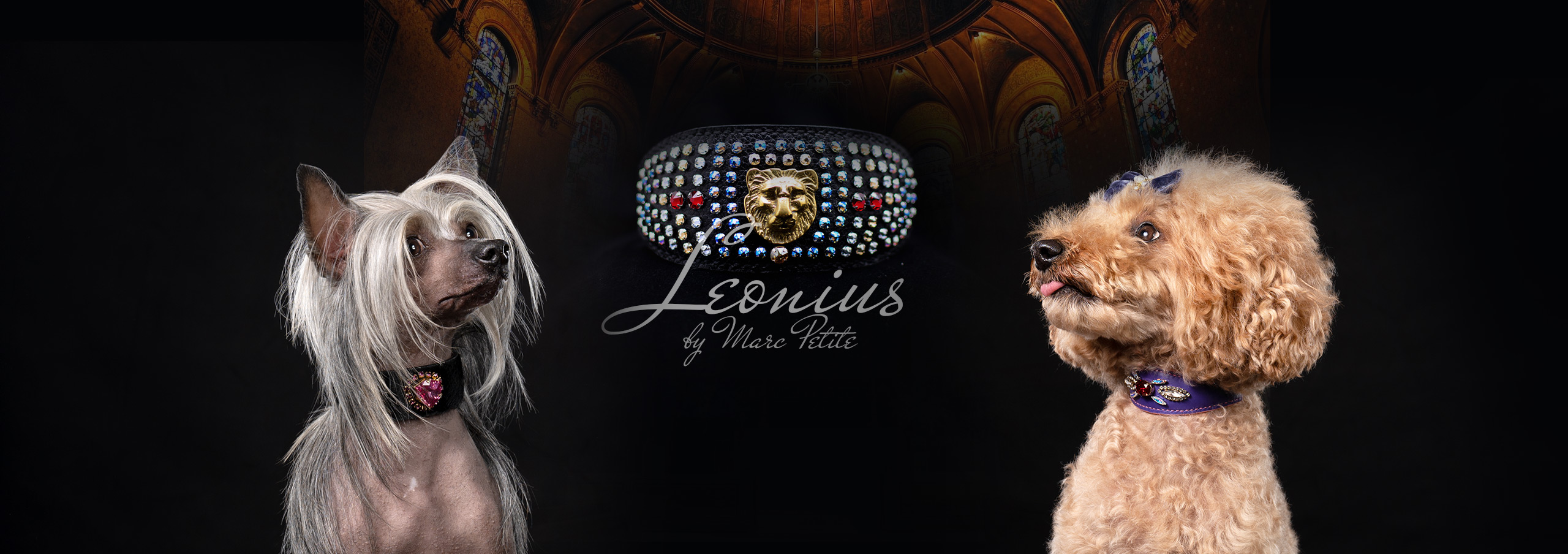 Swarovski Dog Collars by Marc Petite