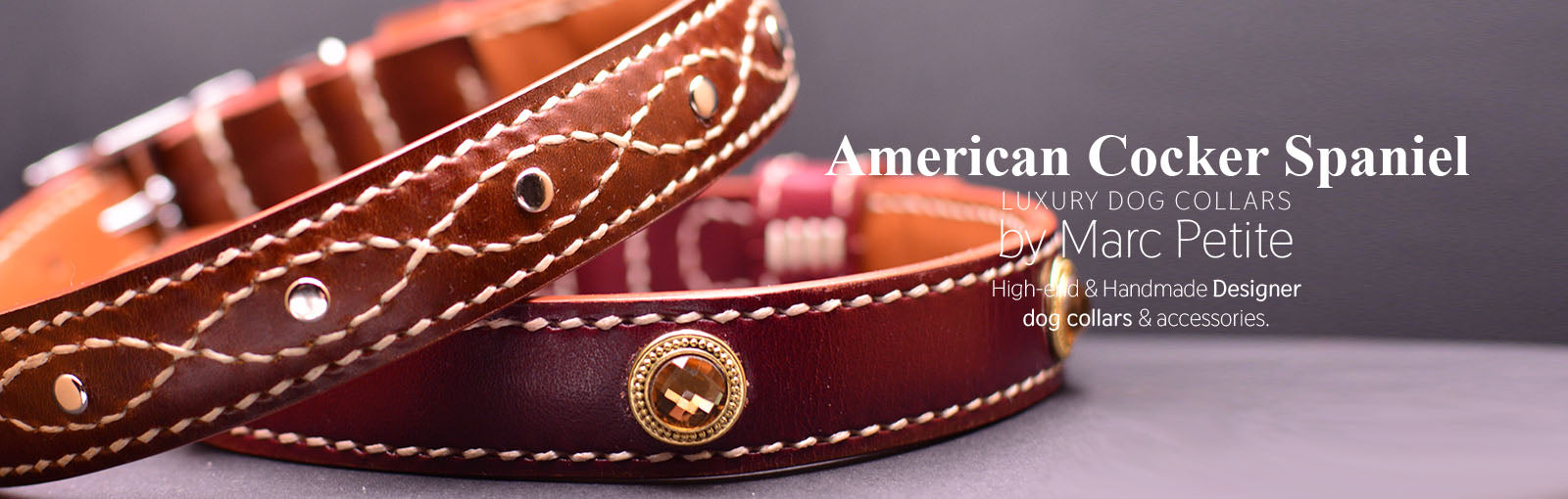 American Cocker Spaniel Collars - Shop Online – Marc Petite