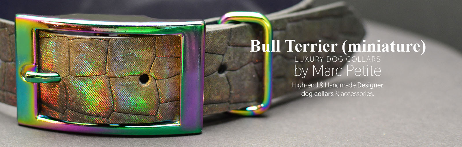 Bull Terrier (miniature) Collars - Marc Petite