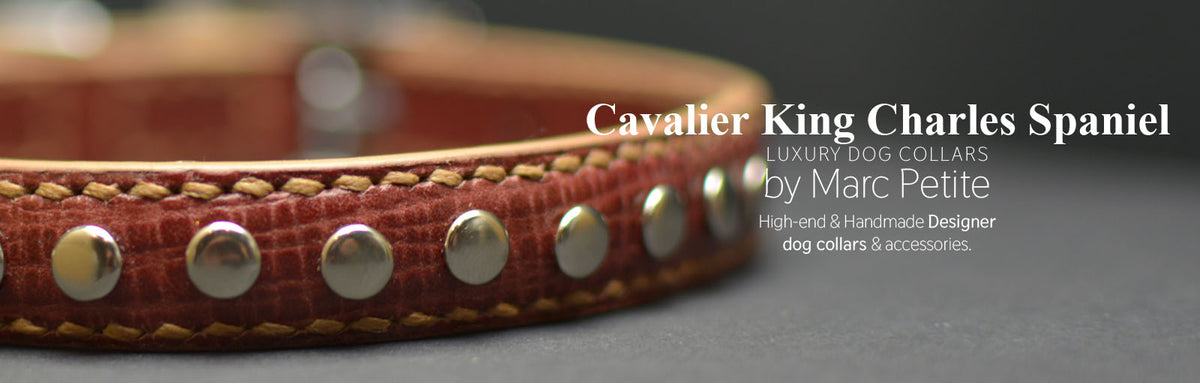 Cavalier King Charles Spaniel Collars - Shop Online – Marc Petite
