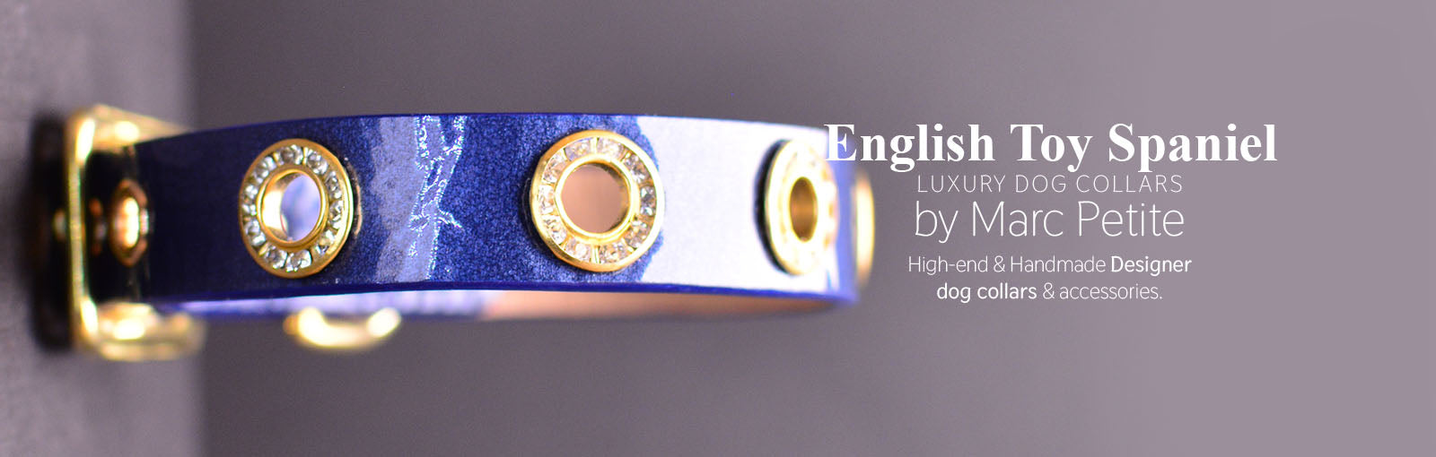 English Toy Spaniel Collars - Shop Online – Marc Petite