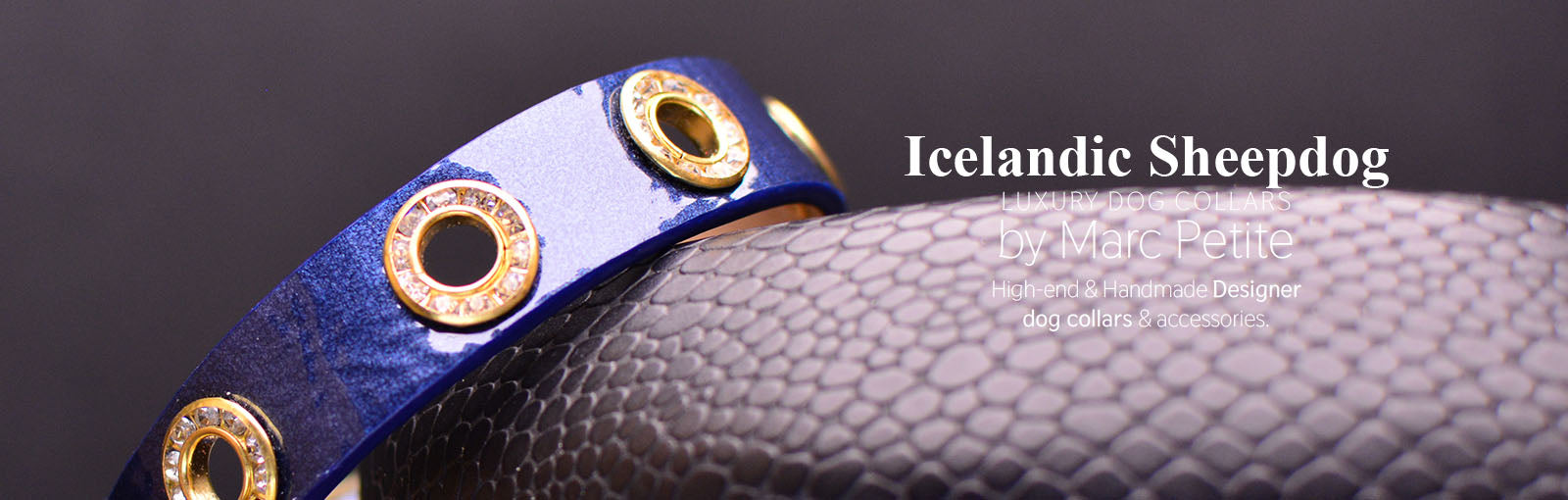 Icelandic Sheepdog Collars - Marc Petite